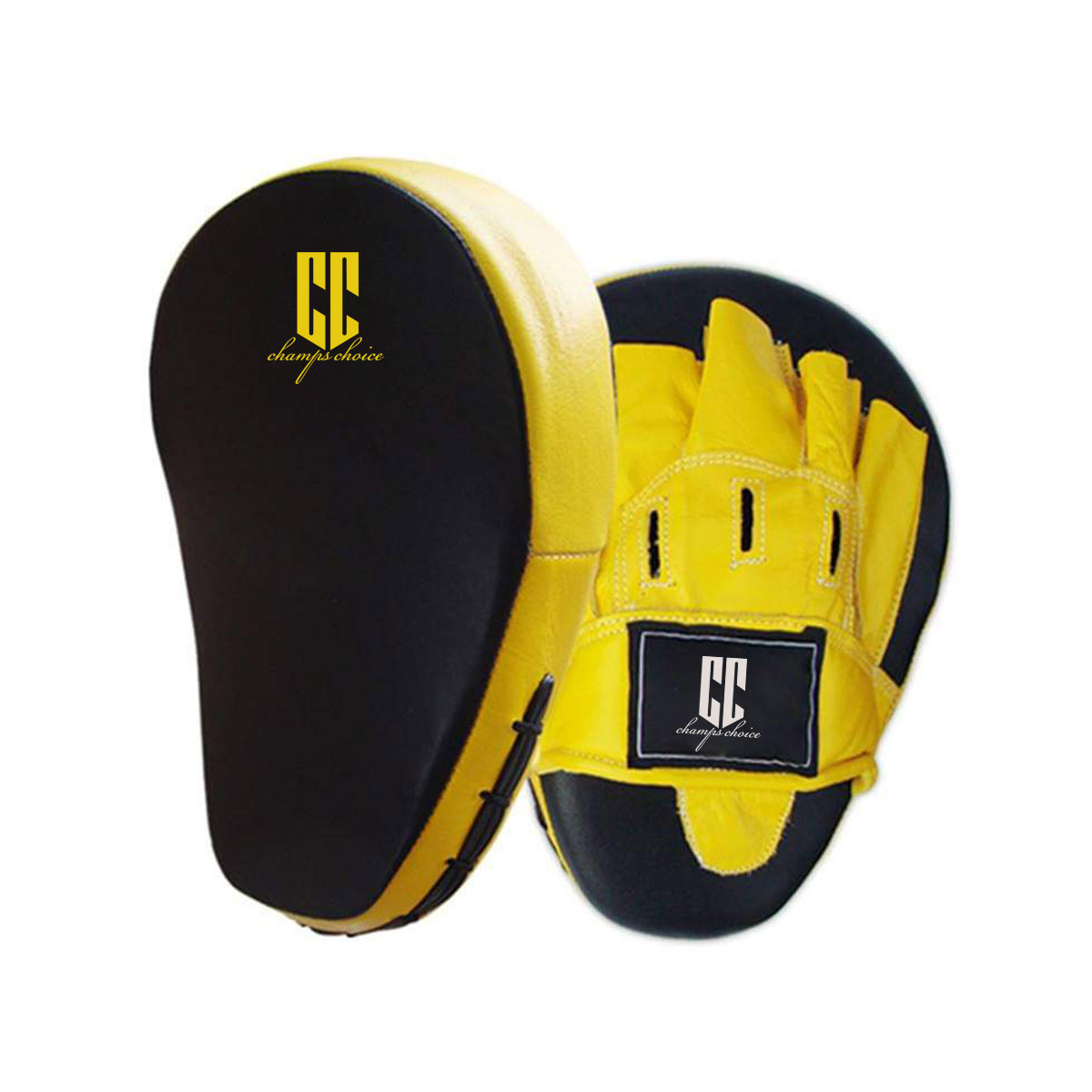 Focus Mitts/Couch Pad